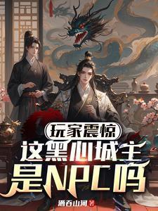玩家震惊:这黑心城主是NPC吗