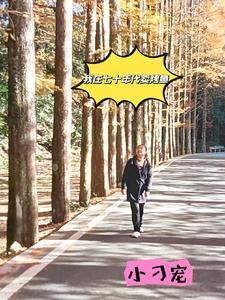 我在70年代卖烤鱼!