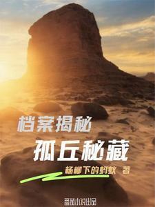 档案揭秘:孤丘秘藏