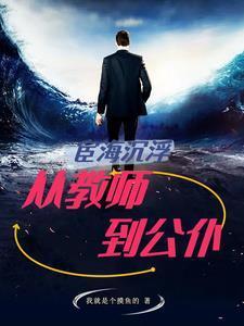 宦海沉浮:从教师到公仆