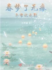 春梦了无痕,冬雪化无影