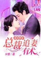 盛爱绝宠:总裁追妻有术