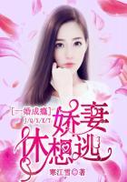 一婚成瘾:娇妻休想逃